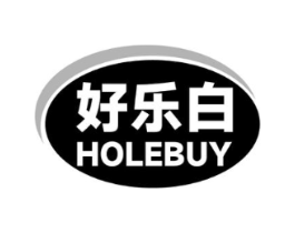 好乐白 HOLEBUY商标原图 第10类医疗器械