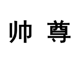 帅尊商标原图 第10类医疗器械