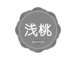 浅桃商标原图 第10类医疗器械