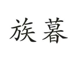 族暮商标原图 第10类医疗器械