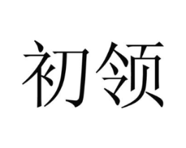 初领商标原图 第10类医疗器械