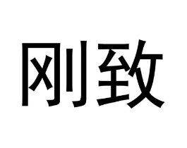 刚致商标原图 第10类医疗器械