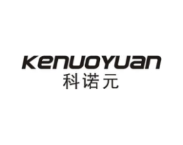 科诺元商标原图 第10类医疗器械