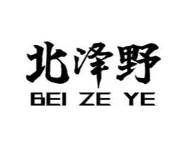 北泽野商标原图 第10类医疗器械