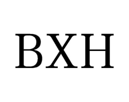 BXH商标原图 第10类医疗器械