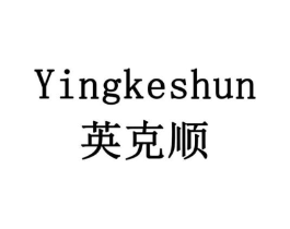 英克顺商标原图 第10类医疗器械