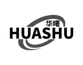 华曙商标原图 第10类医疗器械