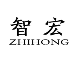 智宏商标原图 第10类医疗器械