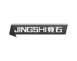 竞石商标原图 第10类医疗器械