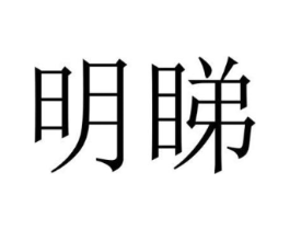 明睇商标原图 第10类医疗器械