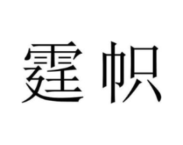 霆帜商标原图 第10类医疗器械