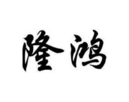 隆鸿商标原图 第10类医疗器械