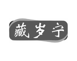 藏岁宁商标原图 第10类医疗器械