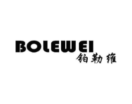 铂勒维商标原图 第10类医疗器械