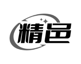 精邑商标原图 第10类医疗器械