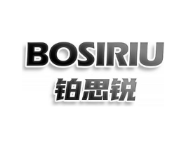 铂思锐 BOSIRIU商标原图 第10类医疗器械