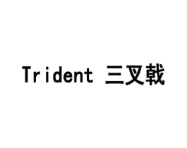 三叉戟 TRIDENT商标原图 第10类医疗器械