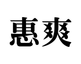 惠爽商标原图 第10类医疗器械