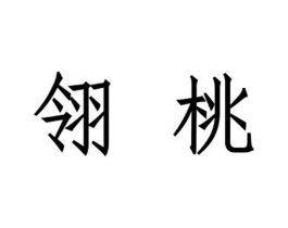 翎桃商标原图 第10类医疗器械
