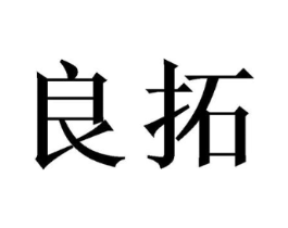 良拓商标原图 第10类医疗器械