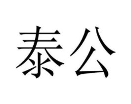 泰公商标原图 第10类医疗器械