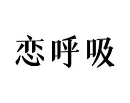 恋呼吸商标原图 第10类医疗器械