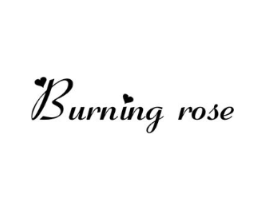 BURNING ROSE商标原图 第10类医疗器械