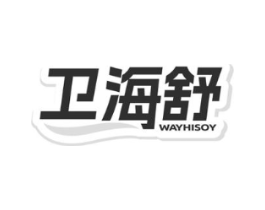 卫海舒WAYHISOY商标原图 第10类医疗器械