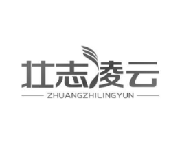 壮志凌云商标原图 第10类医疗器械