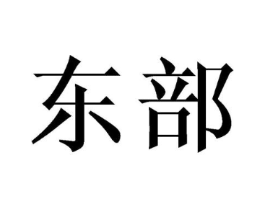 东部商标原图 第10类医疗器械