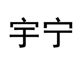 宇宁商标原图 第10类医疗器械