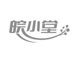 皖小堂商标原图 第10类医疗器械
