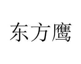 东方鹰商标原图 第10类医疗器械