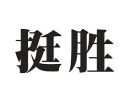 挺胜商标原图 第10类医疗器械