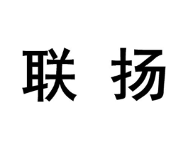 联扬商标原图 第10类医疗器械