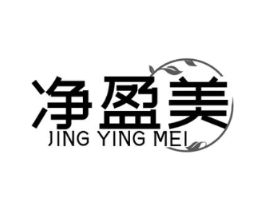净盈美商标原图 第10类医疗器械