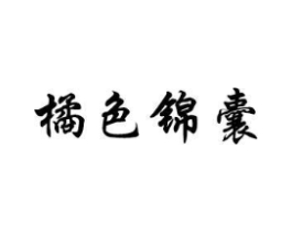 橘色锦囊商标原图 第10类医疗器械