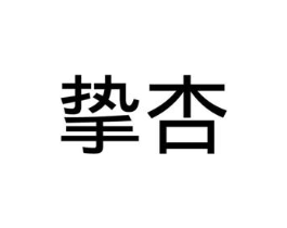 挚杏商标原图 第10类医疗器械