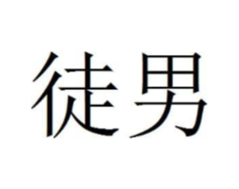 徒男商标原图 第10类医疗器械