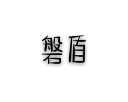 磐盾商标原图 第10类医疗器械