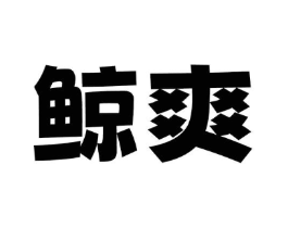 鲸爽商标原图 第10类医疗器械