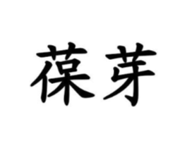 葆芽商标原图 第10类医疗器械