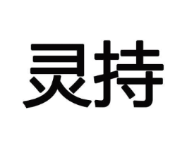 灵持商标原图 第10类医疗器械