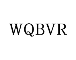 WQBVR商标原图 第10类医疗器械