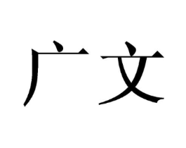 广文商标原图 第10类医疗器械