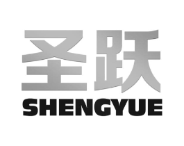 圣跃商标原图 第10类医疗器械