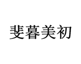 斐暮美初商标原图 第10类医疗器械