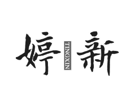 婷新商标原图 第10类医疗器械
