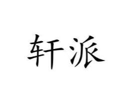 轩派商标原图 第10类医疗器械