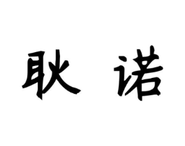耿诺商标原图 第10类医疗器械
